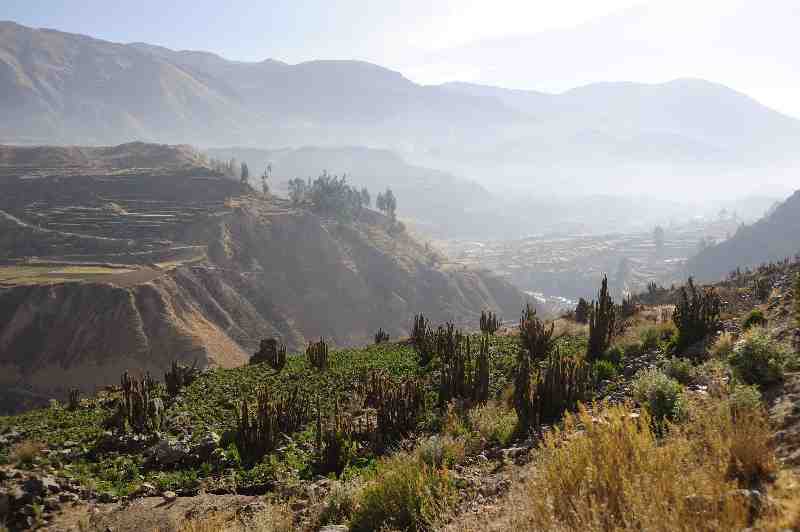 Colca Canyon, Peru, 09./10.2008