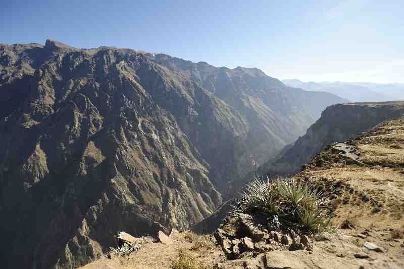 Colca Canyon, Peru, 09./10.2008