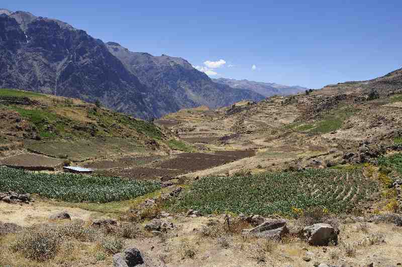 Colca Canyon, Peru, 09./10.2008