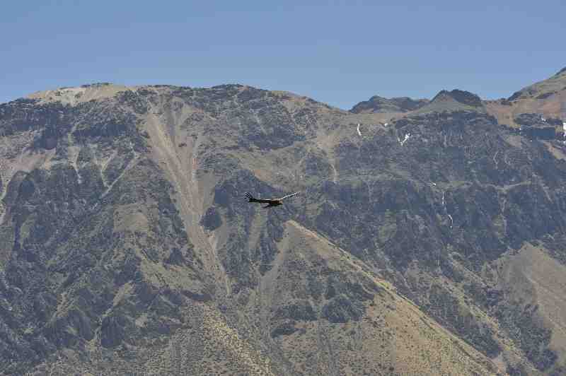 Colca Canyon, Peru, 09./10.2008