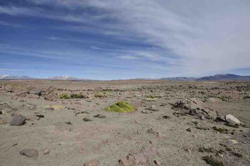 Altiplano, Peru, 09./10.2008