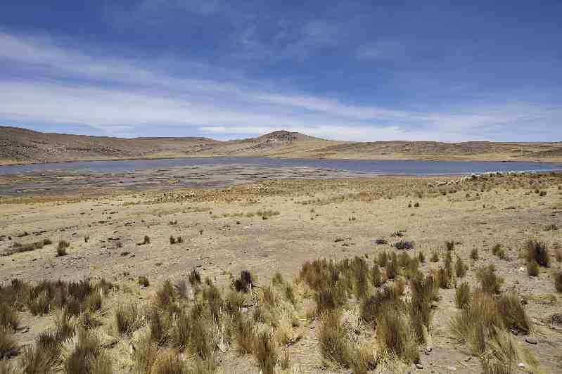 Altiplano, Peru, 09./10.2008