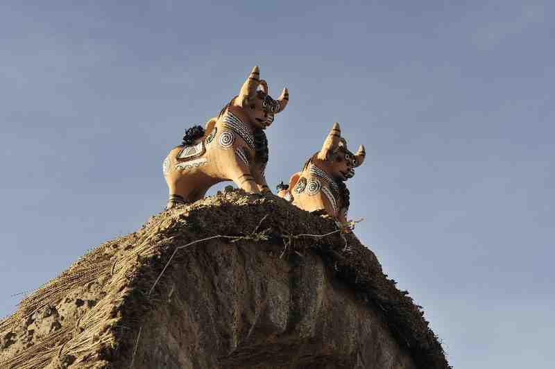 Bauernhof nahe Grabt&uuml;rme von Sillustani, Peru, 09./10.2008