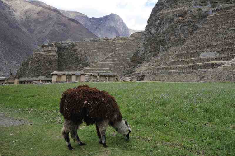 Ollantaytambo, Peru, 09./10.2008
