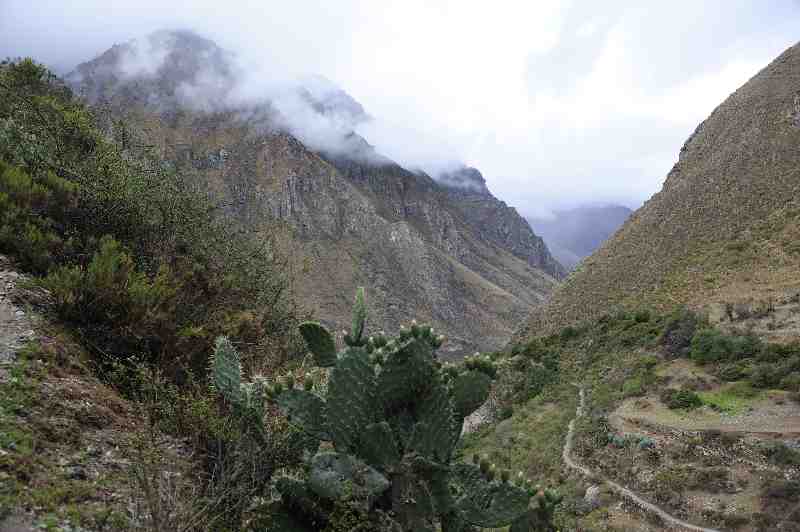 Inkatrail, Peru, 09./10.2008
