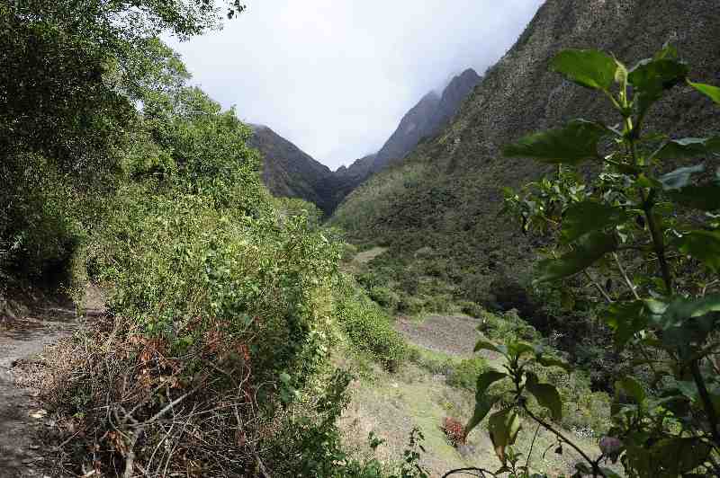 Inkatrail, Peru, 09./10.2008