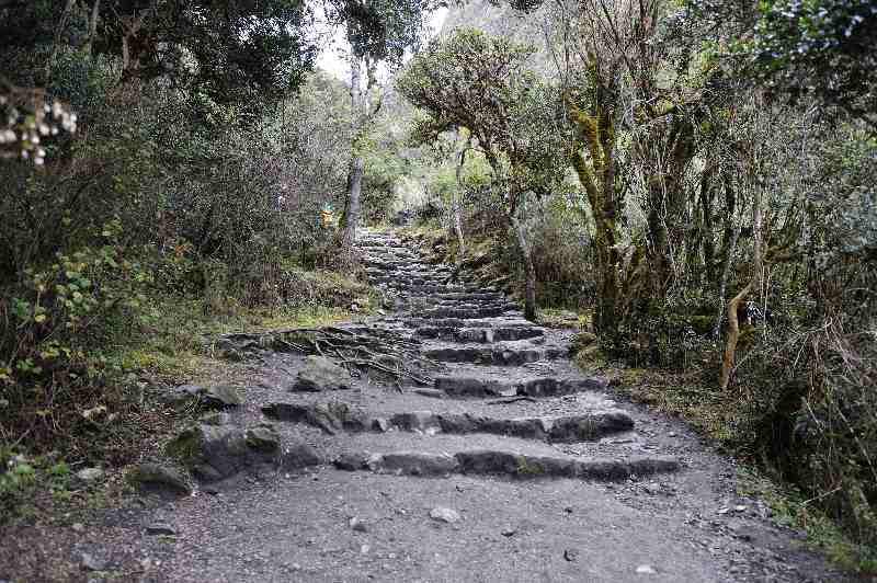 Inkatrail, Peru, 09./10.2008