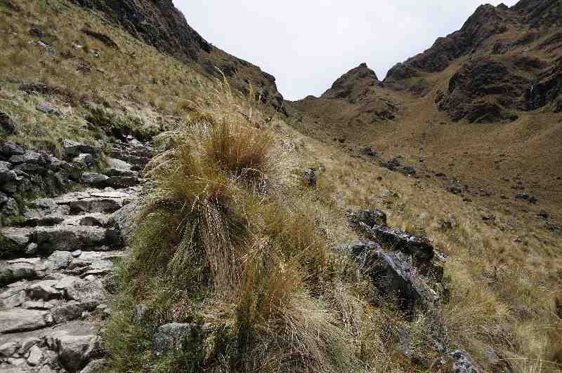 Inkatrail, Peru, 09./10.2008