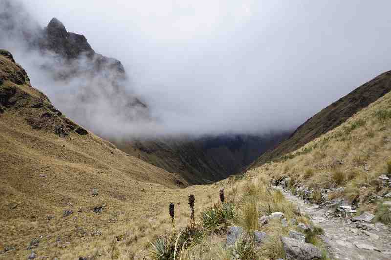 Inkatrail, Peru, 09./10.2008
