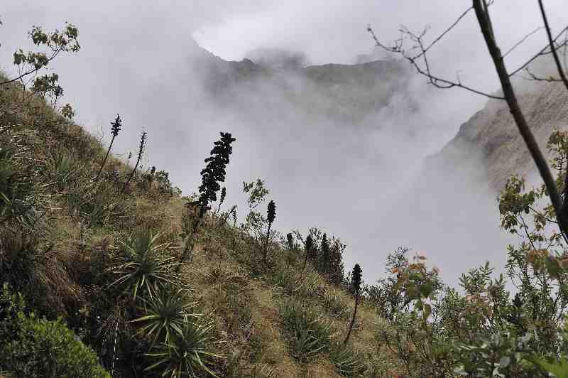 Inkatrail, Peru, 09./10.2008
