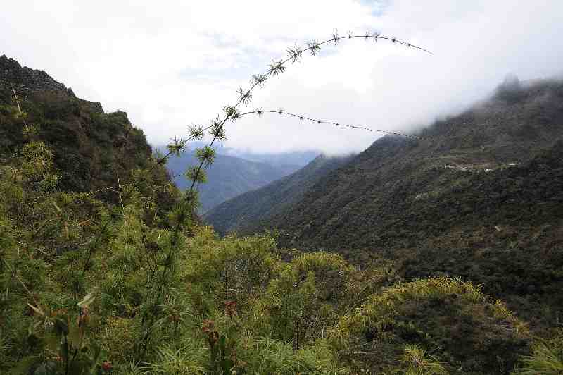 Inkatrail, Peru, 09./10.2008