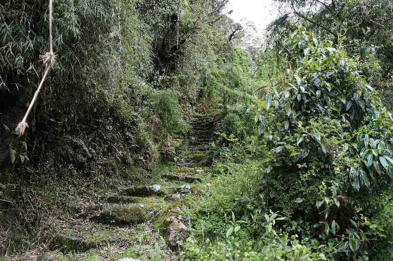 Inkatrail, Peru, 09./10.2008