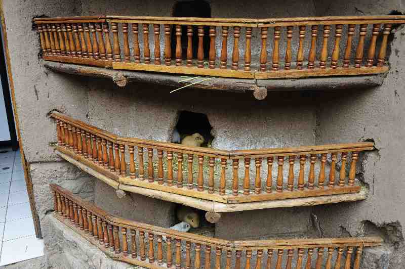 Pisac, Peru, 09./10.2008