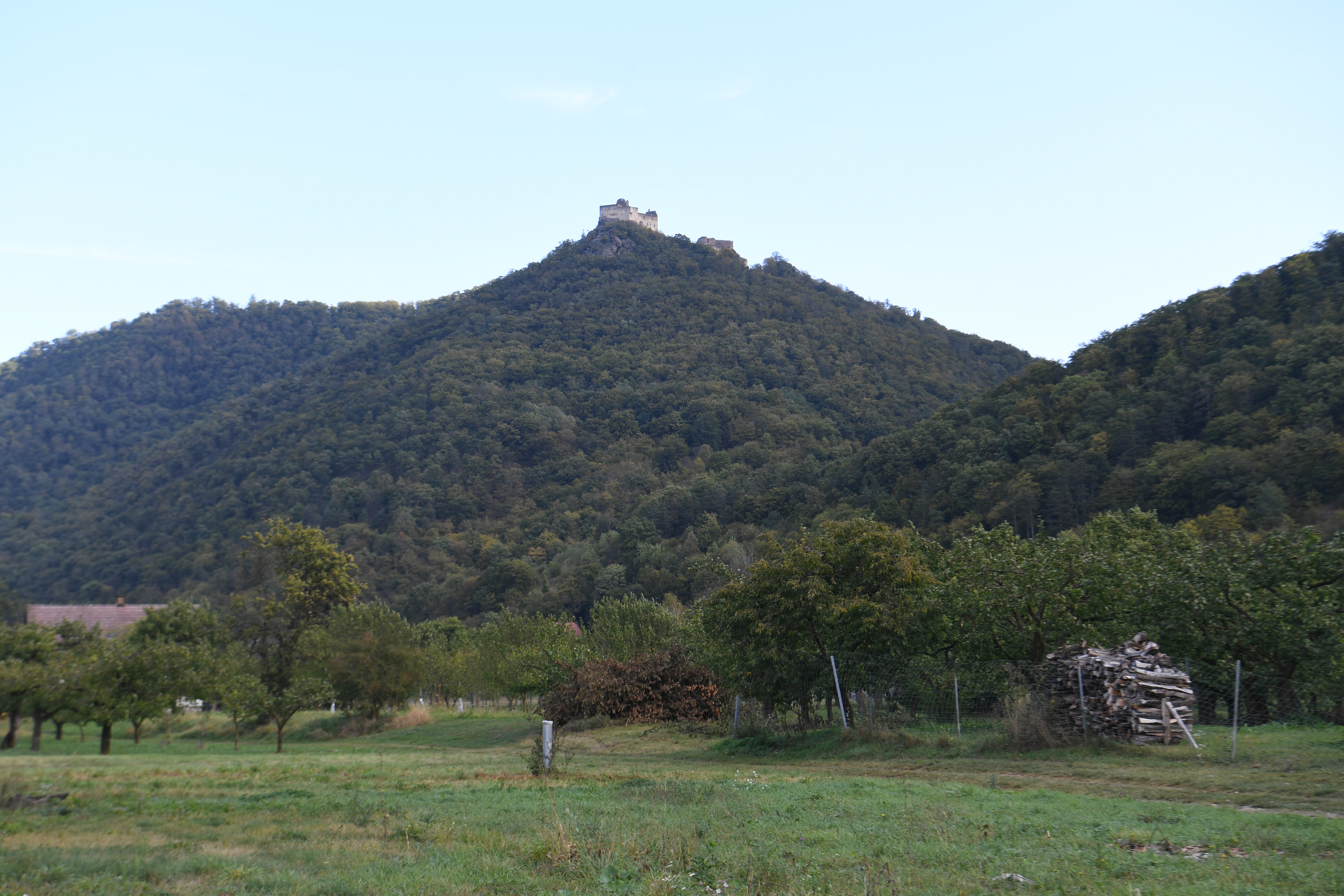 Burgruine Aggstein