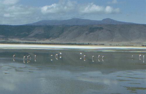 Ngorongoro Krater N.P.