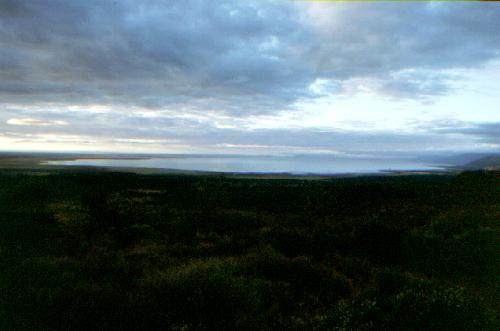 Lake Manyara N.P.