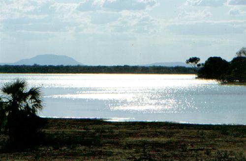 Selous Game Reserve - Rufi River