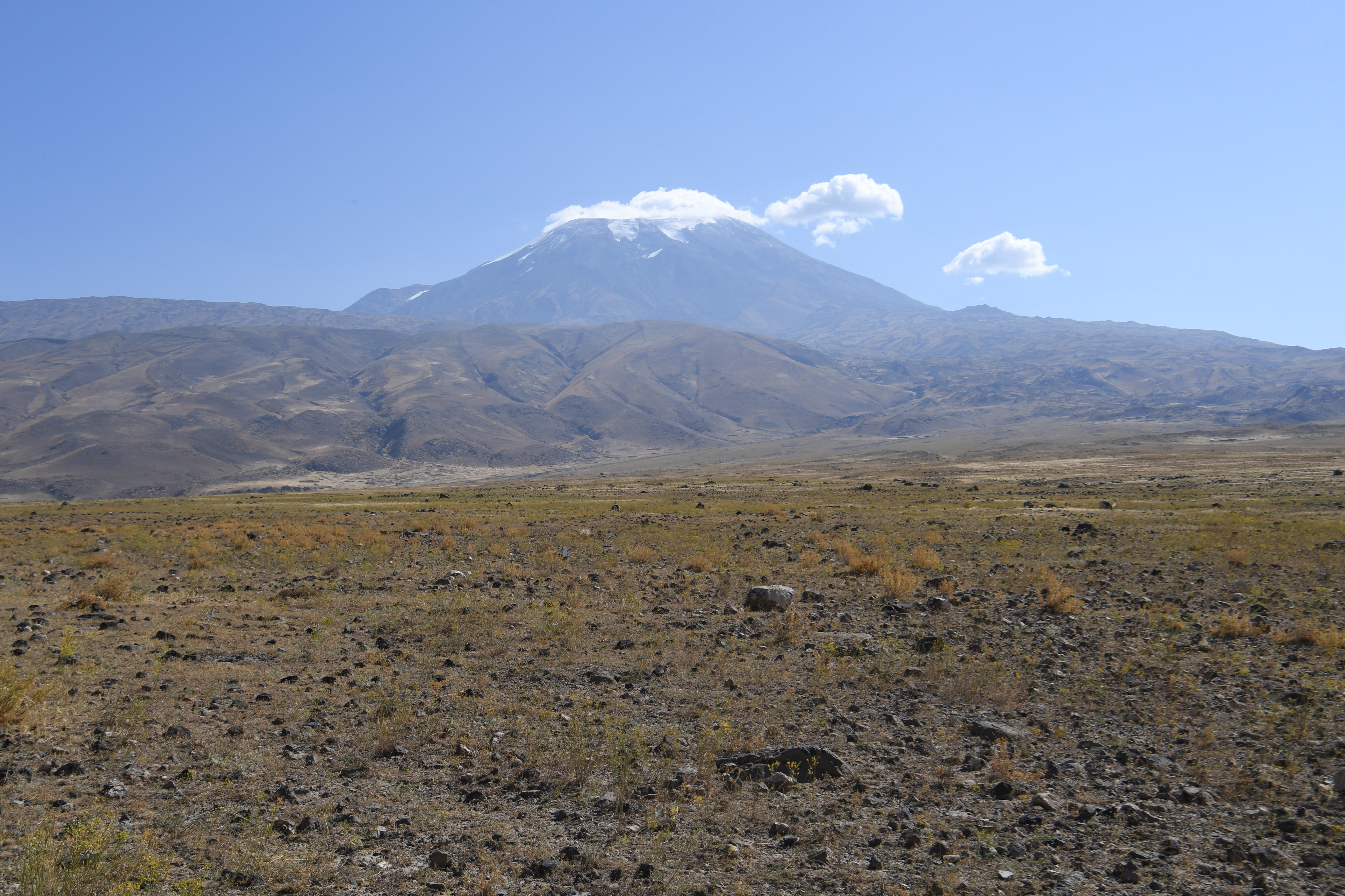 Ararat