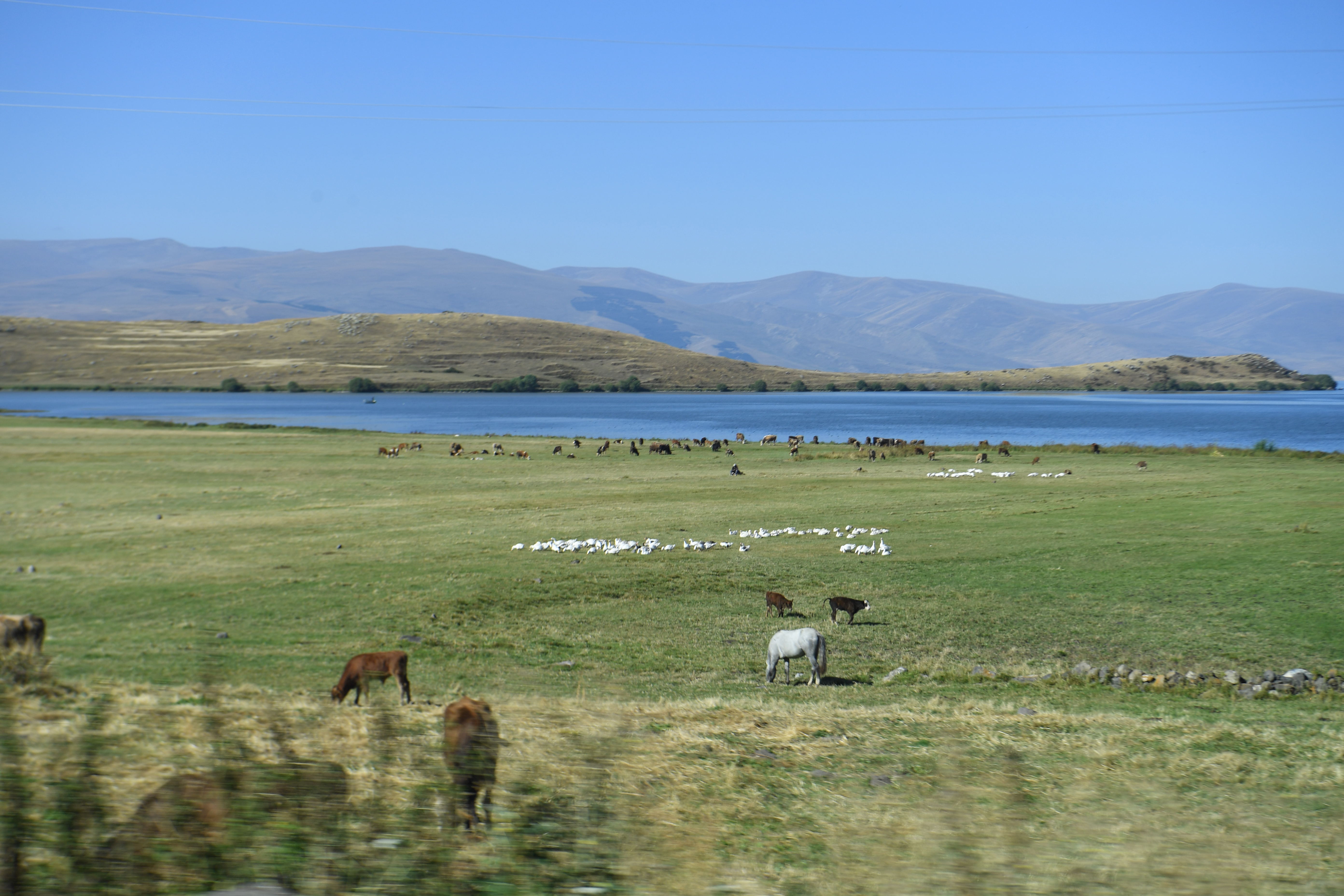 Cildir See