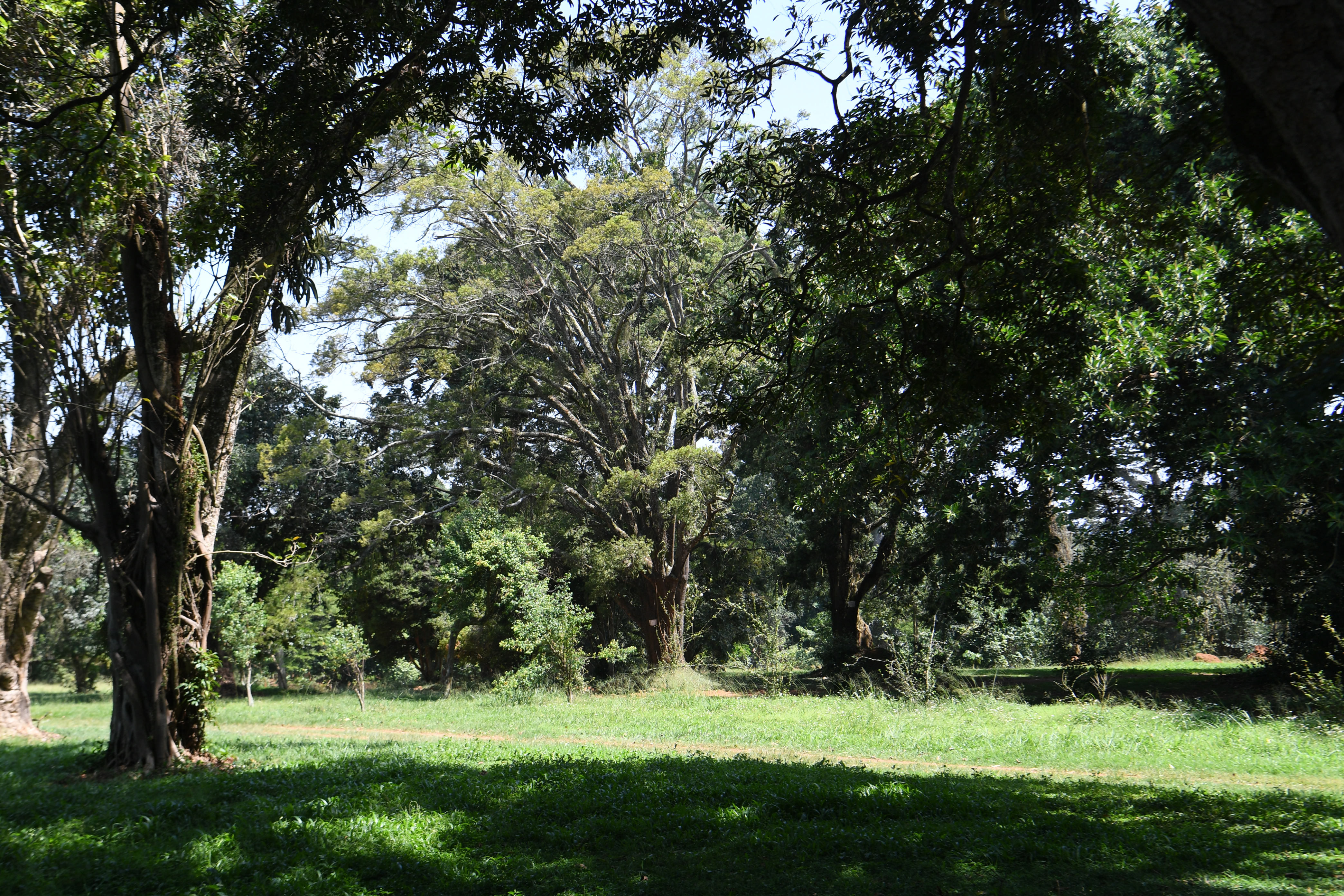 Botanical Garden, Entebbe