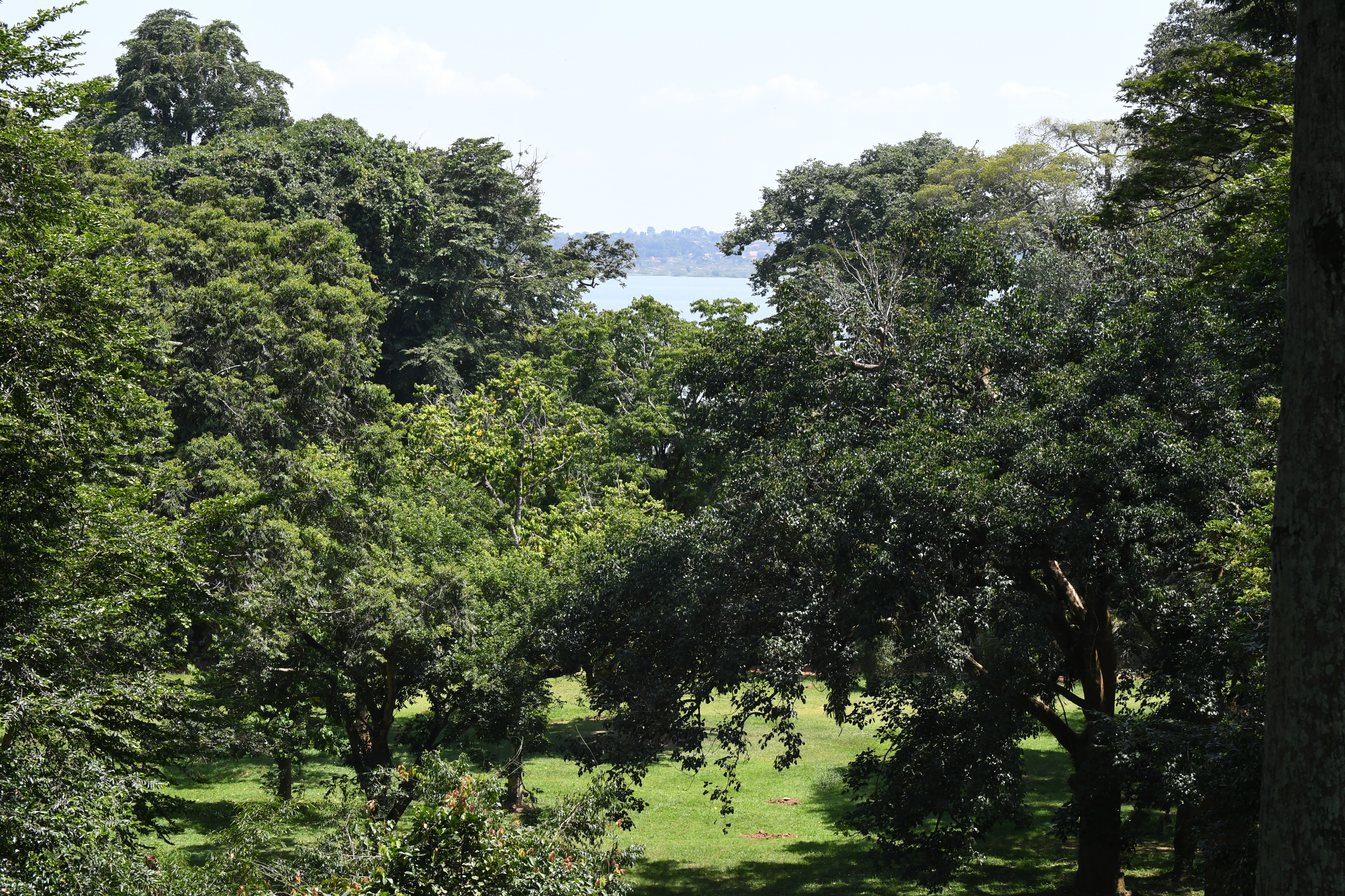 Botanical Garden, Entebbe