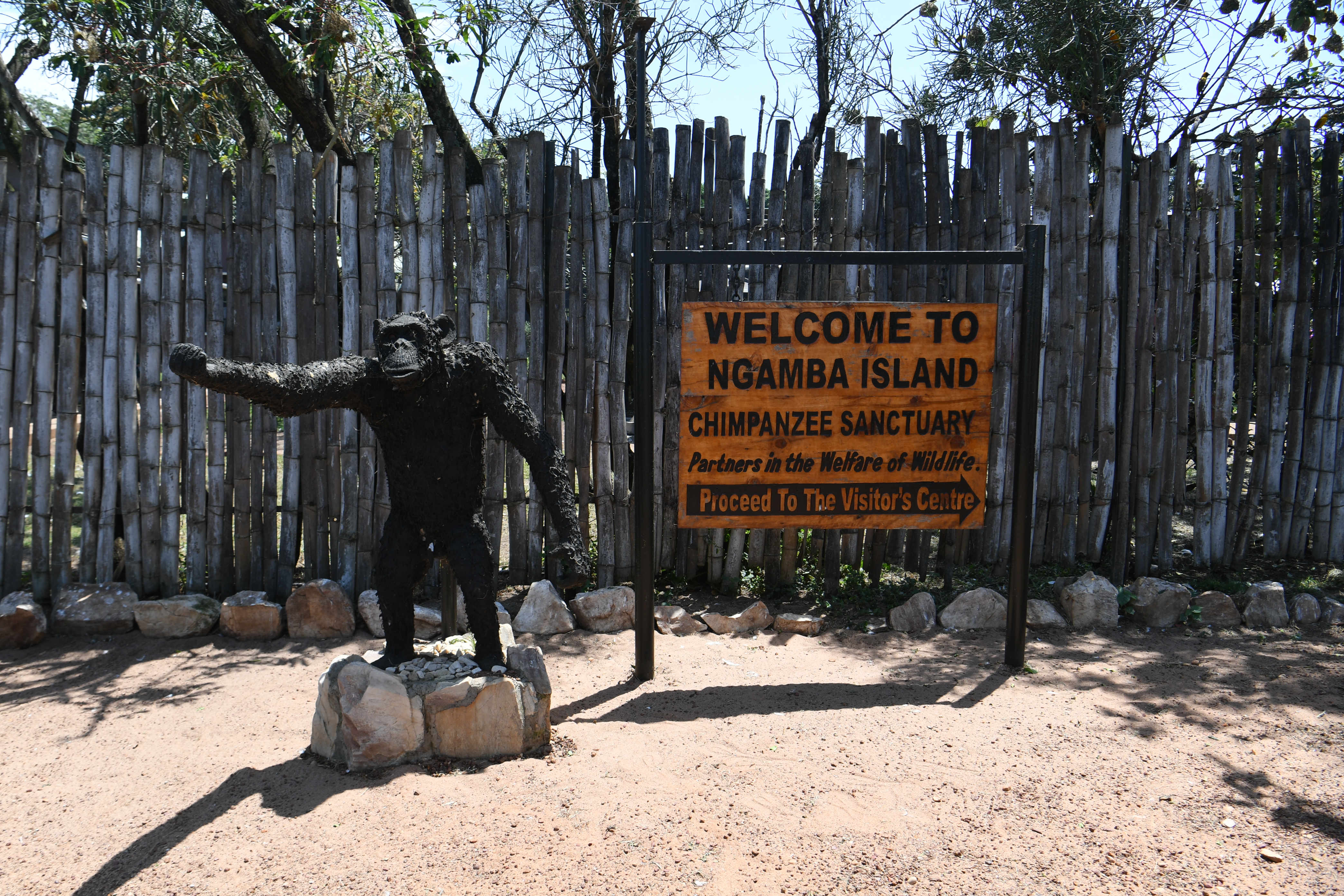 Ngamba Island, Victoria See, Entebbe