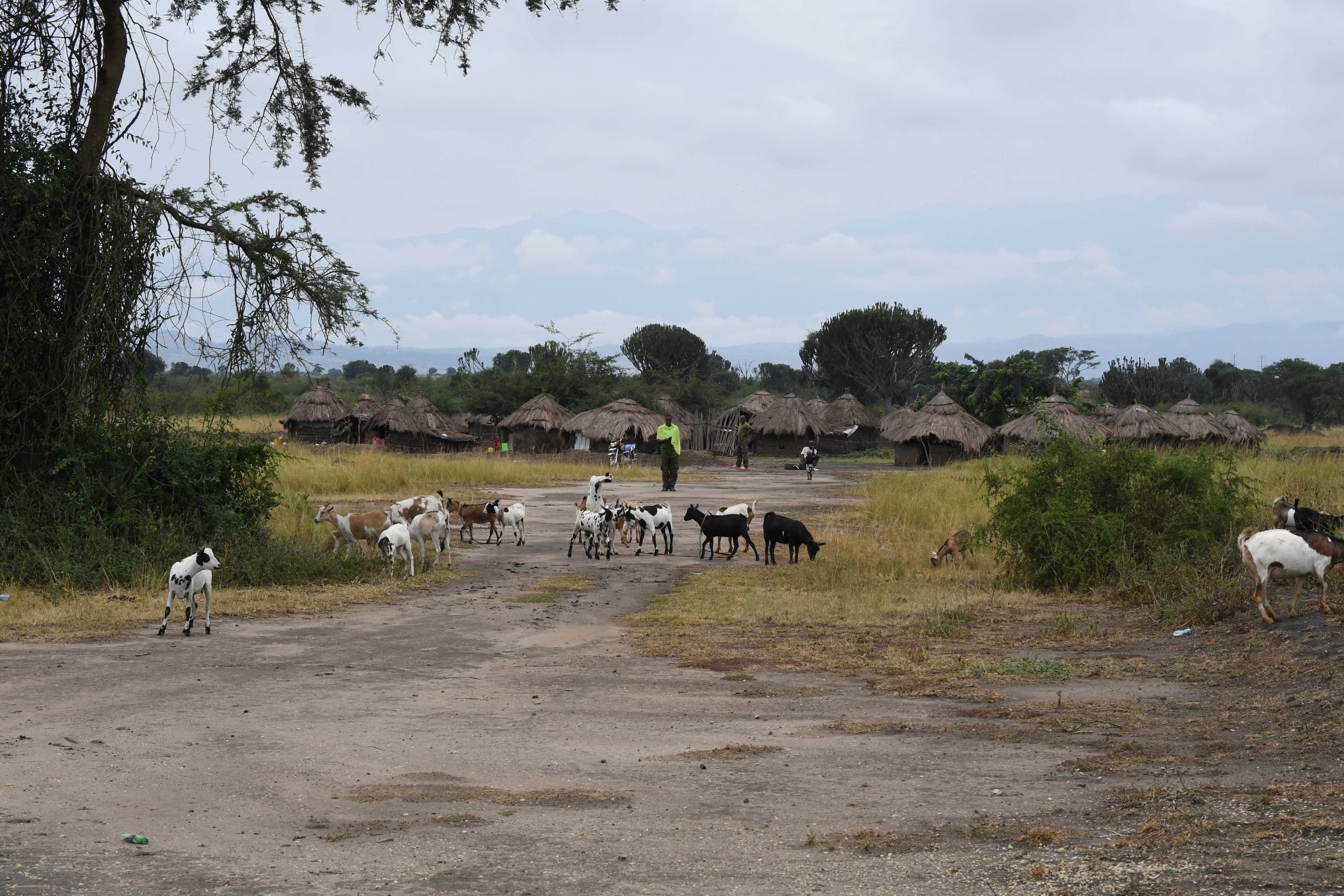Katunguru, Kazinga Channel, Mweya, Queen Elizabeth National Park