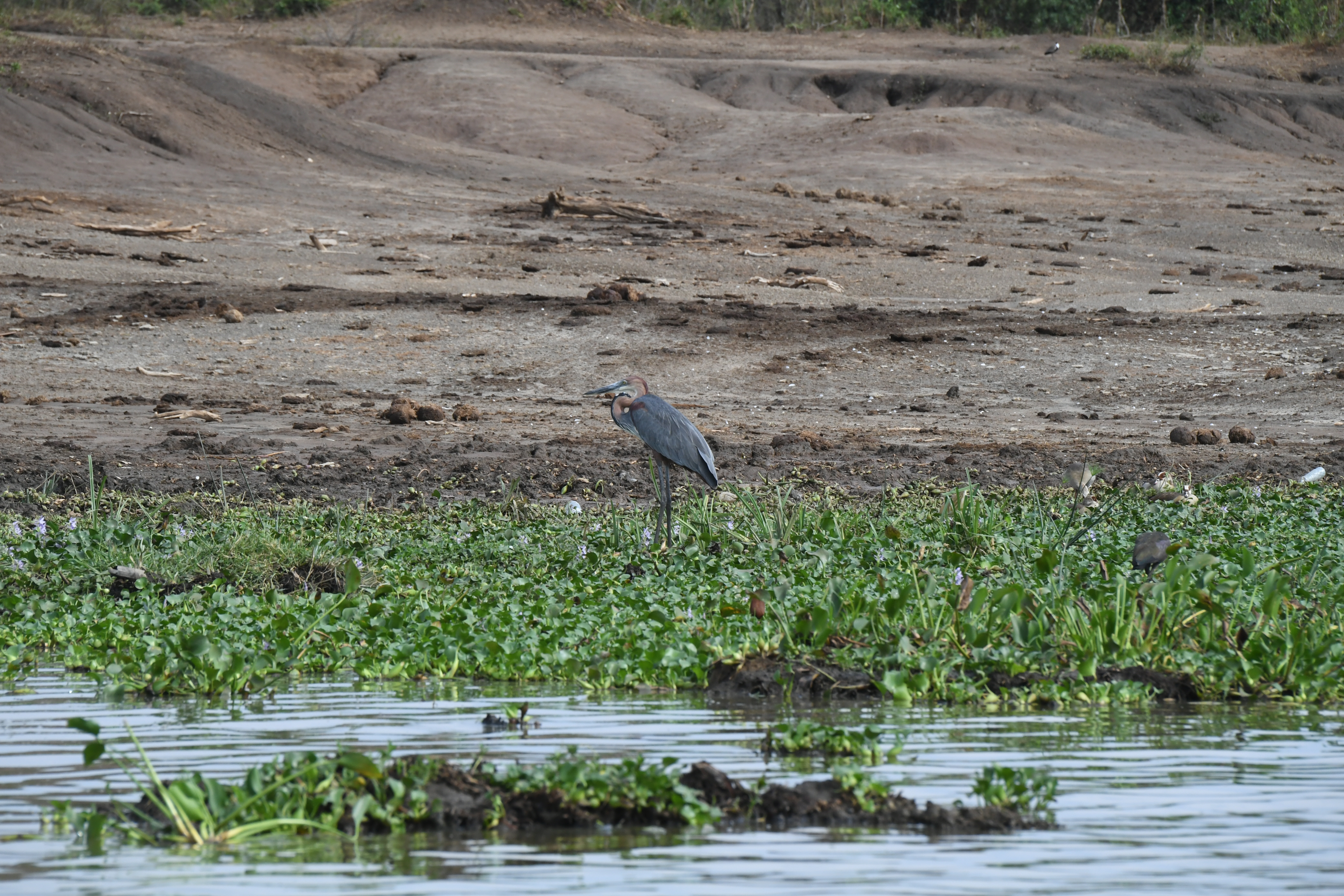 Kazinga Channel, Mweya, Queen Elizabeth National Park