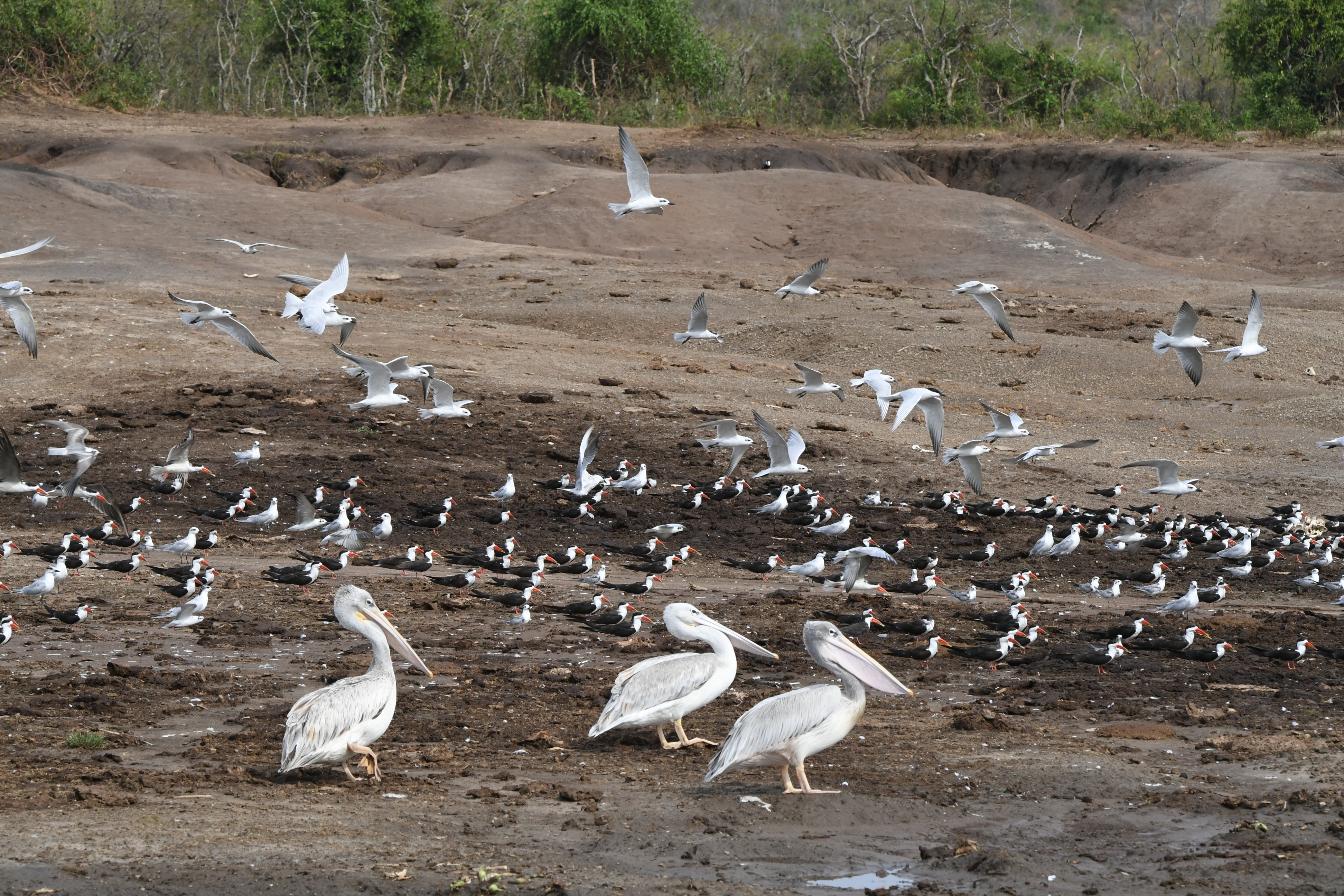 Kazinga Channel, Mweya, Queen Elizabeth National Park