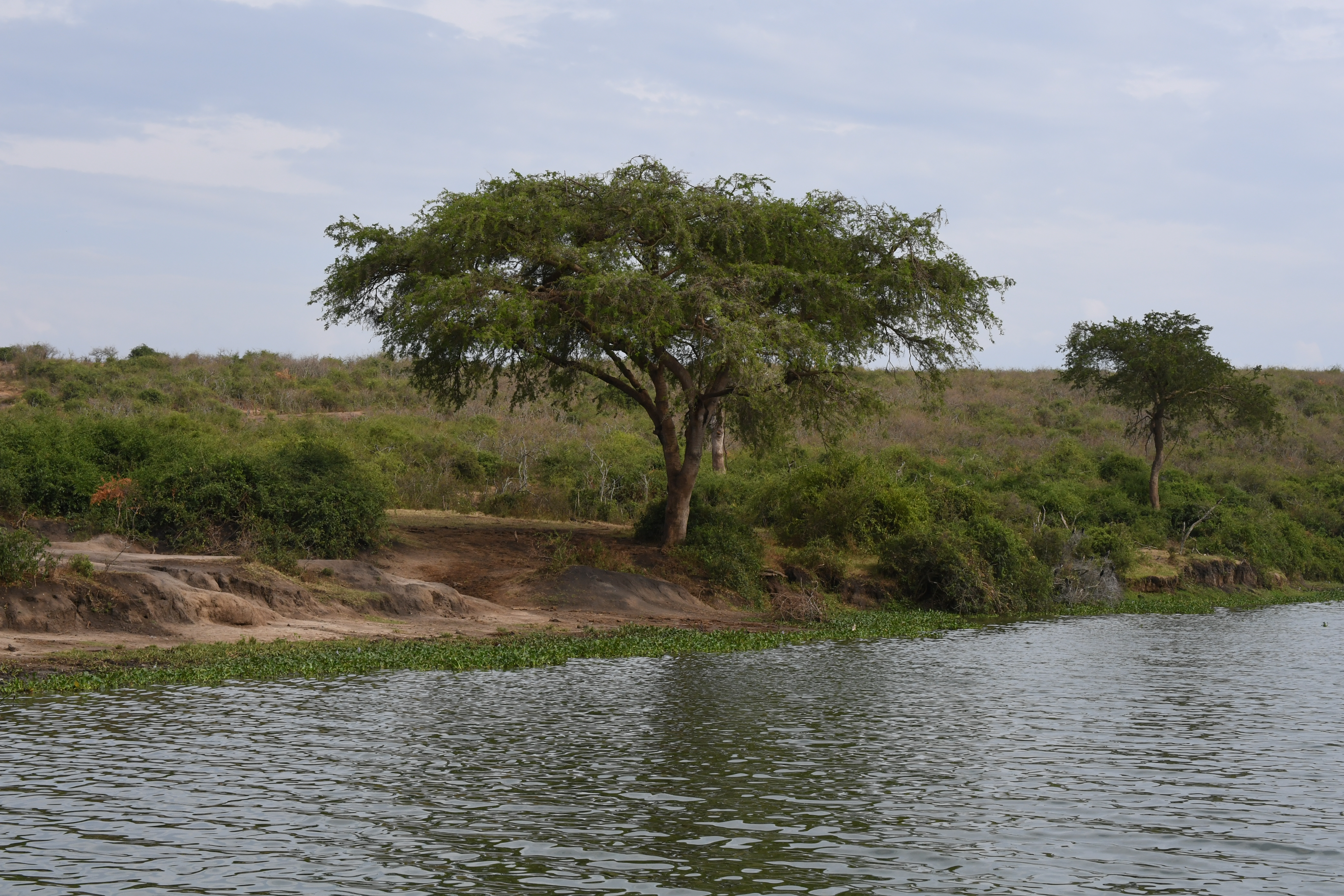 Kazinga Channel, Mweya, Queen Elizabeth National Park