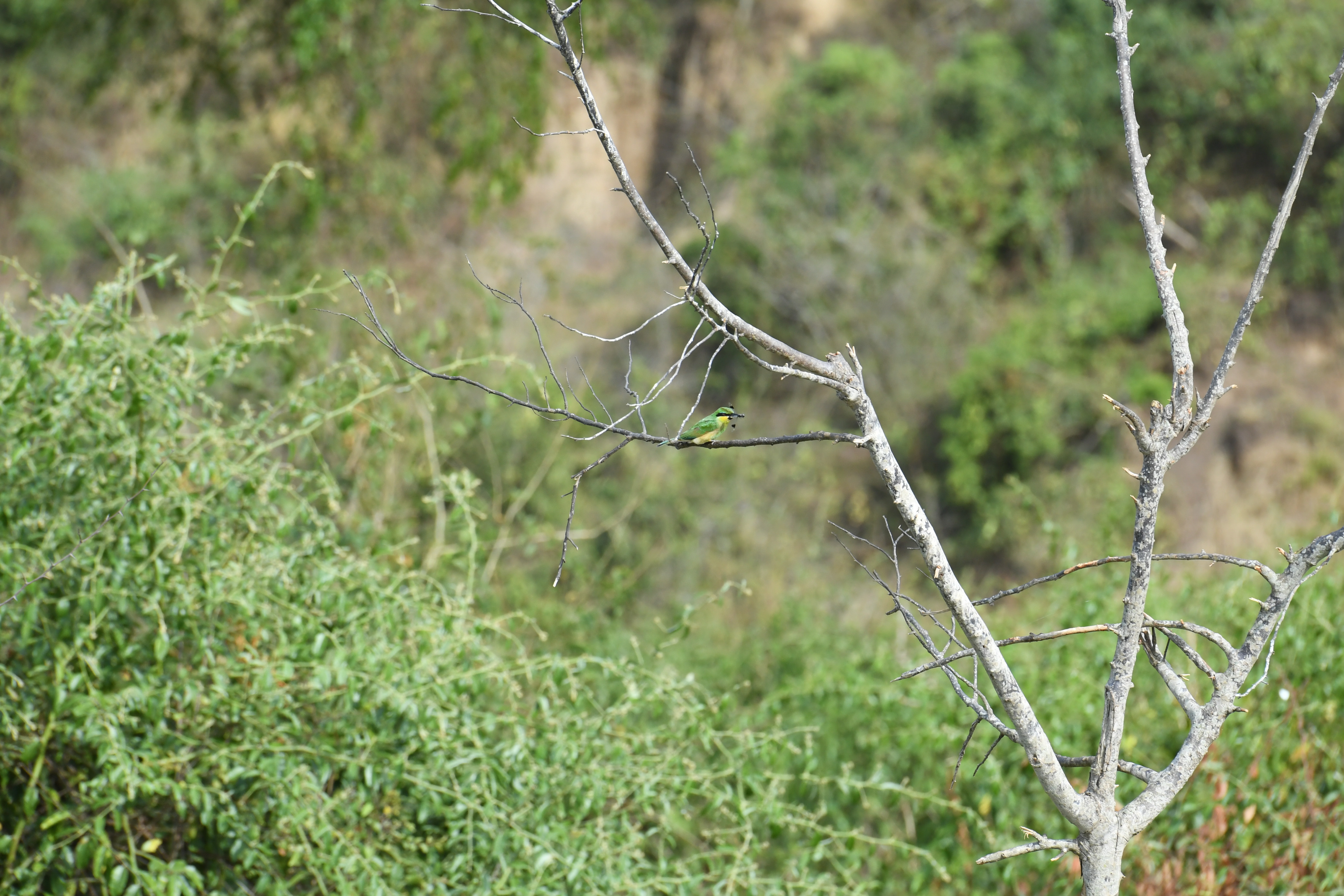 Kazinga Channel, Mweya, Queen Elizabeth National Park