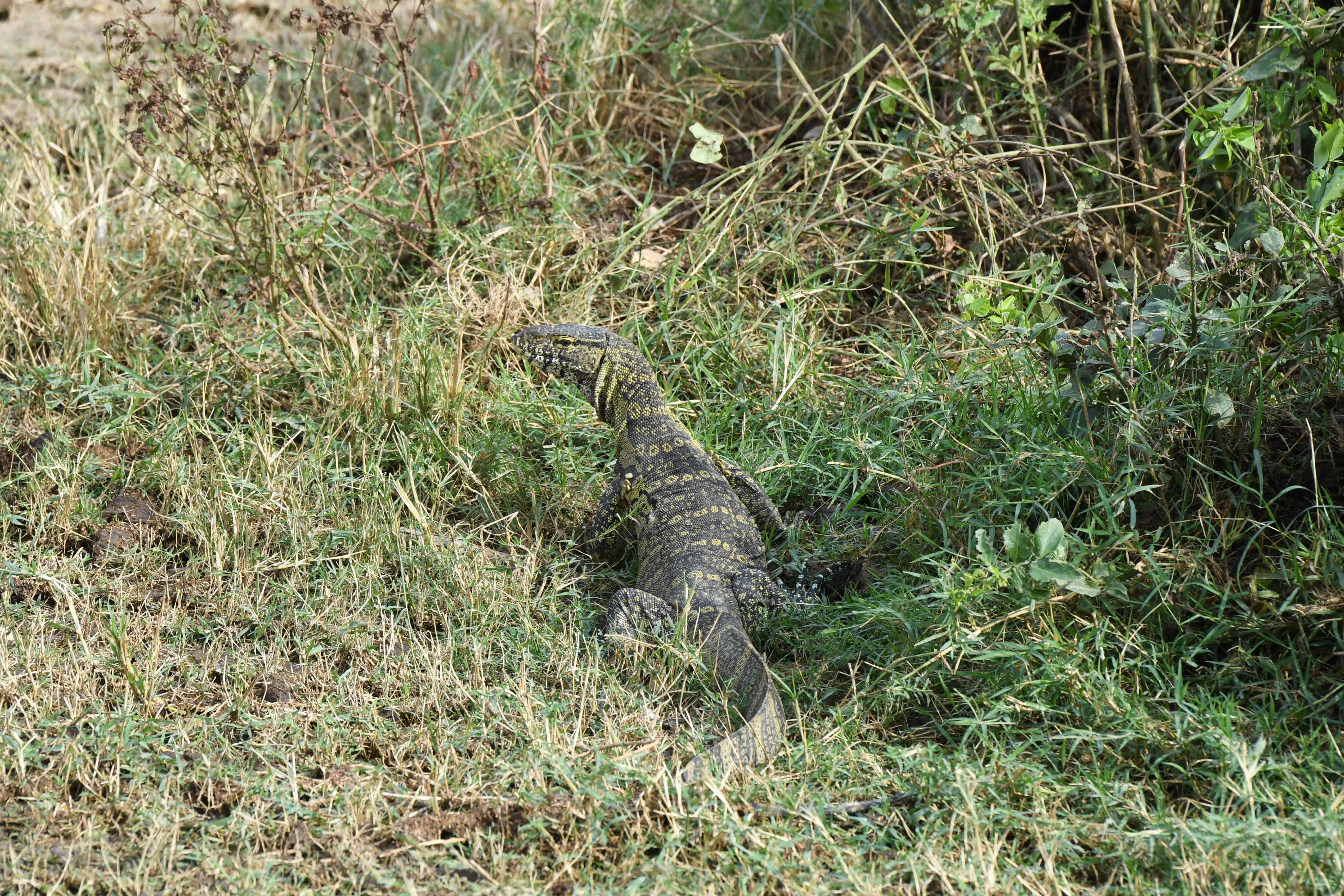 Kazinga Channel, Mweya, Queen Elizabeth National Park