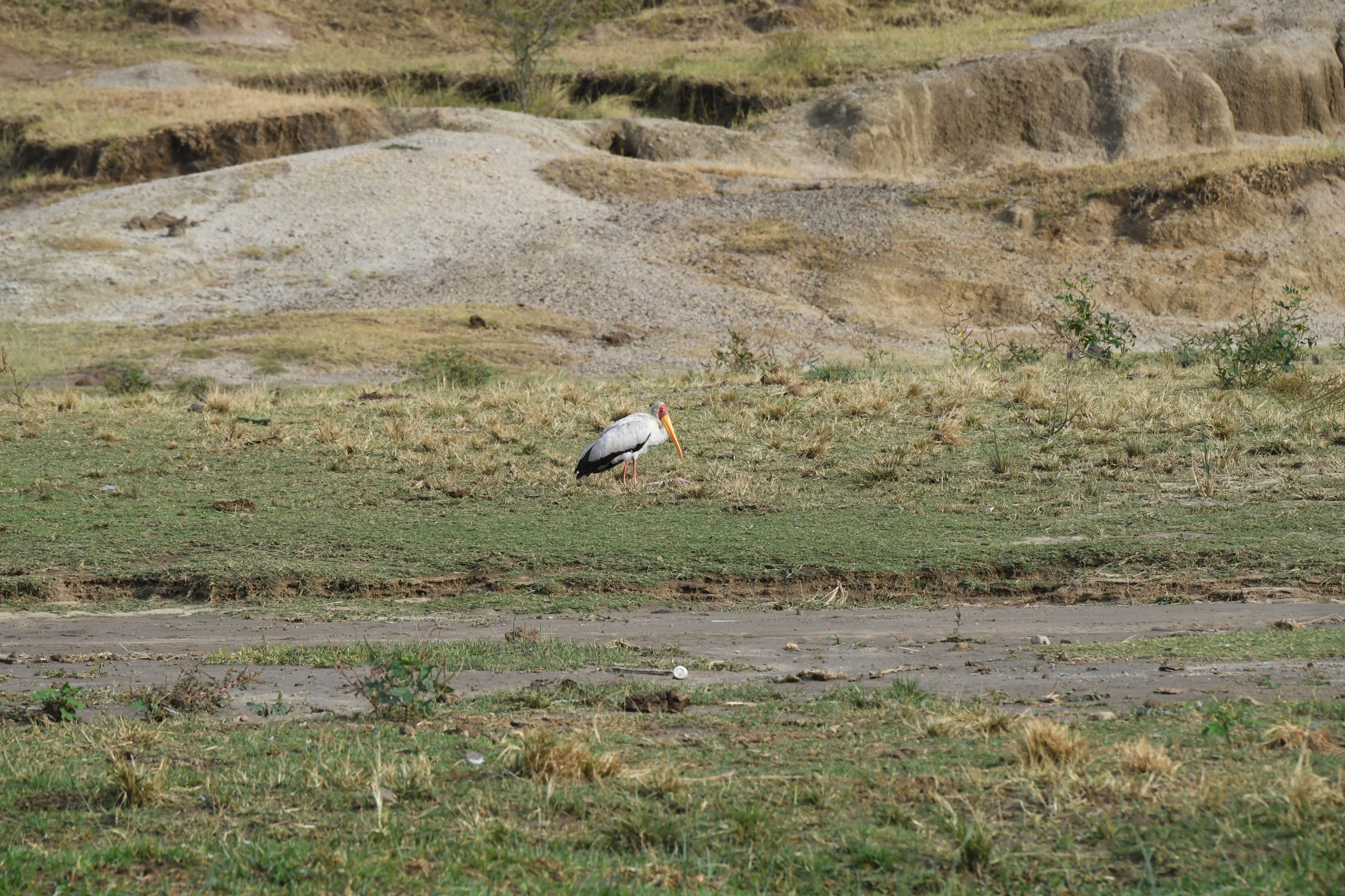 Kazinga Channel, Mweya, Queen Elizabeth National Park