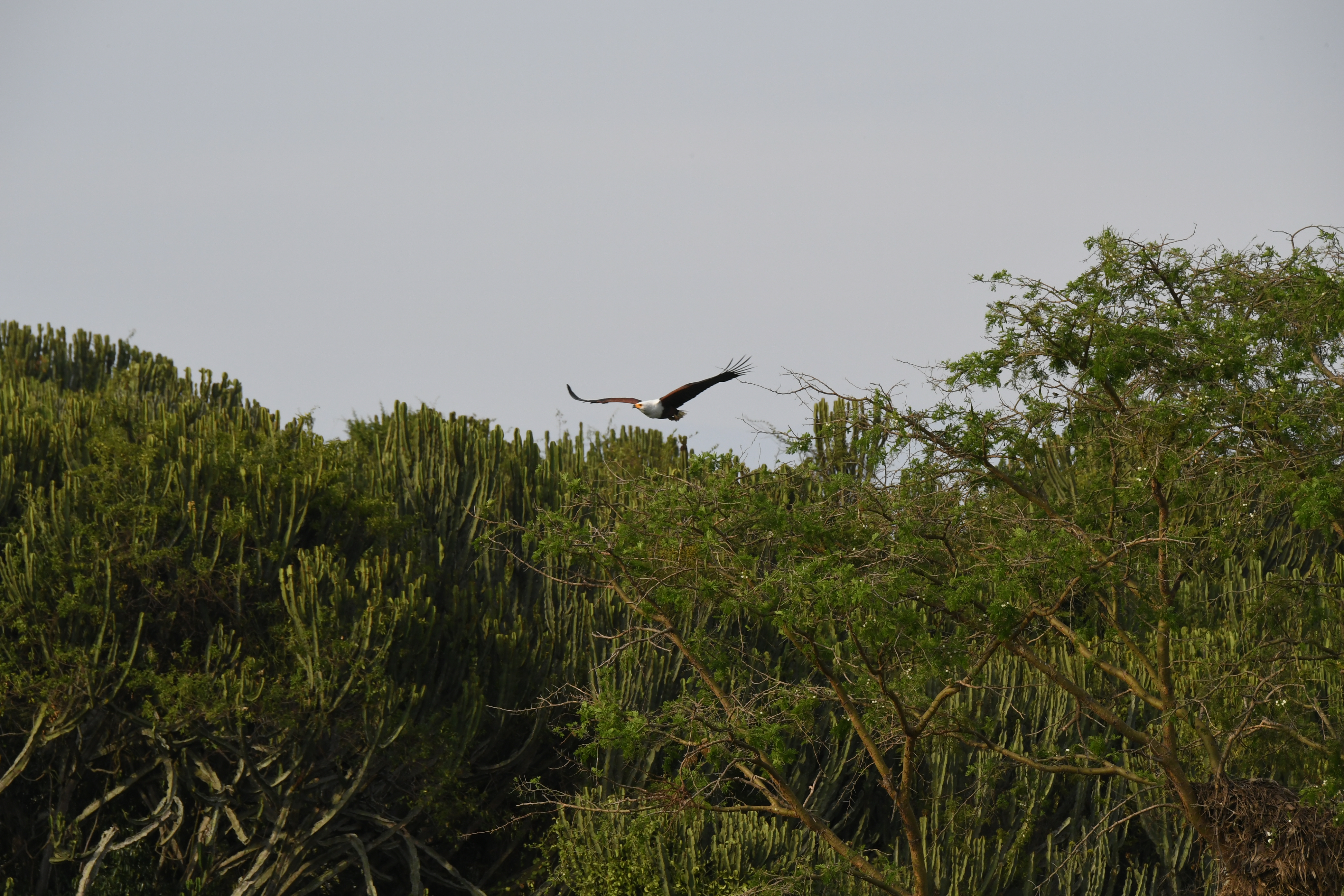 Kazinga Channel, Mweya, Queen Elizabeth National Park