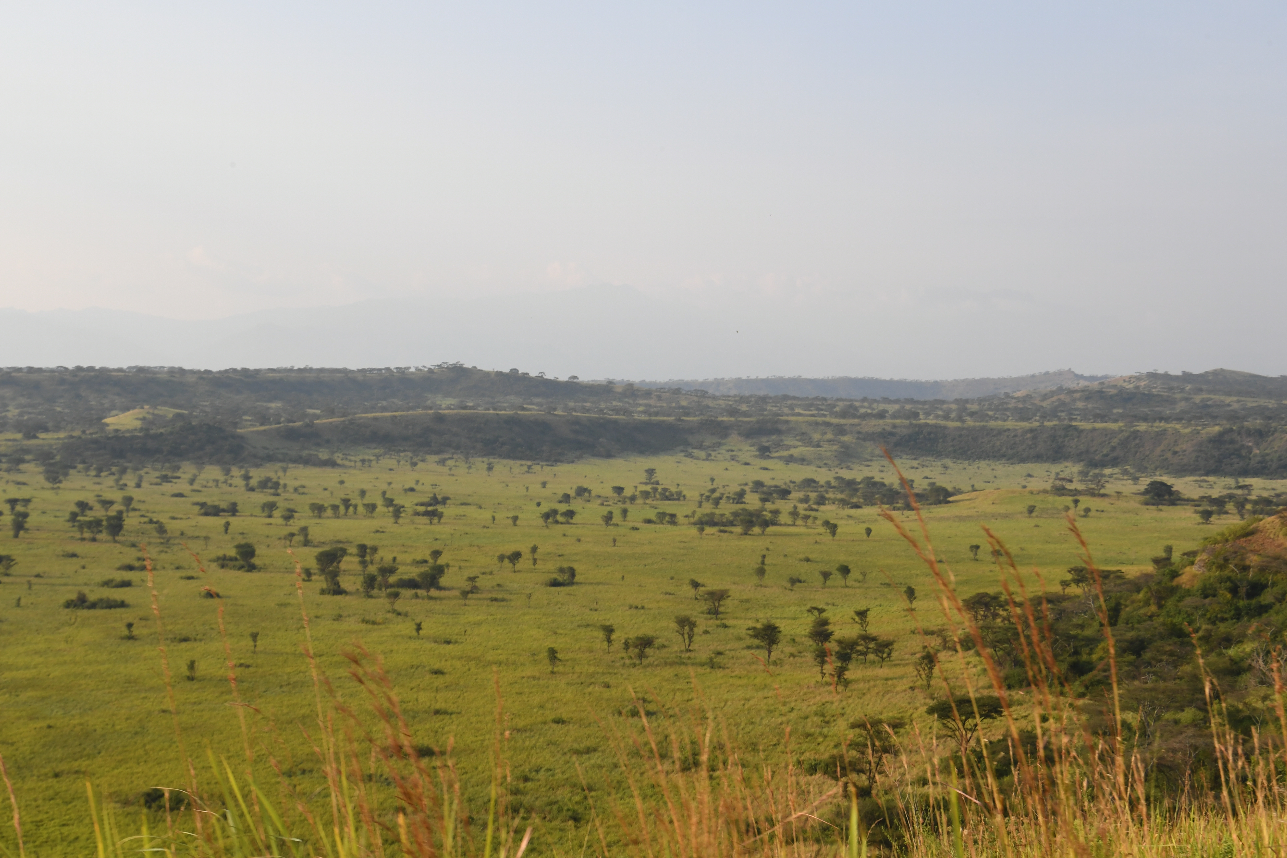 N&ouml;rdlich Kazinga Channel, Mweya, Queen Elizabeth National Park