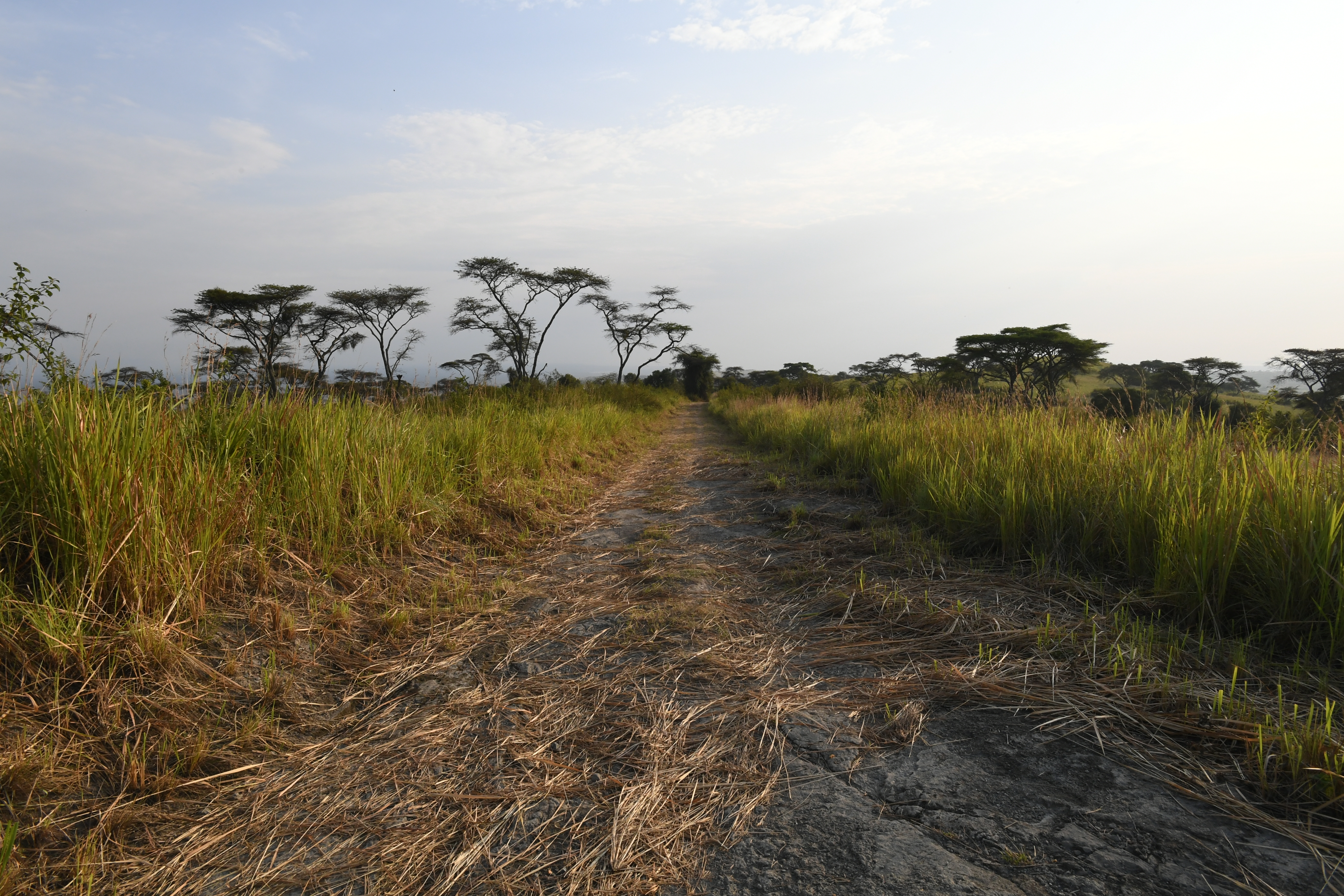 N&ouml;rdlich Kazinga Channel, Mweya, Queen Elizabeth National Park