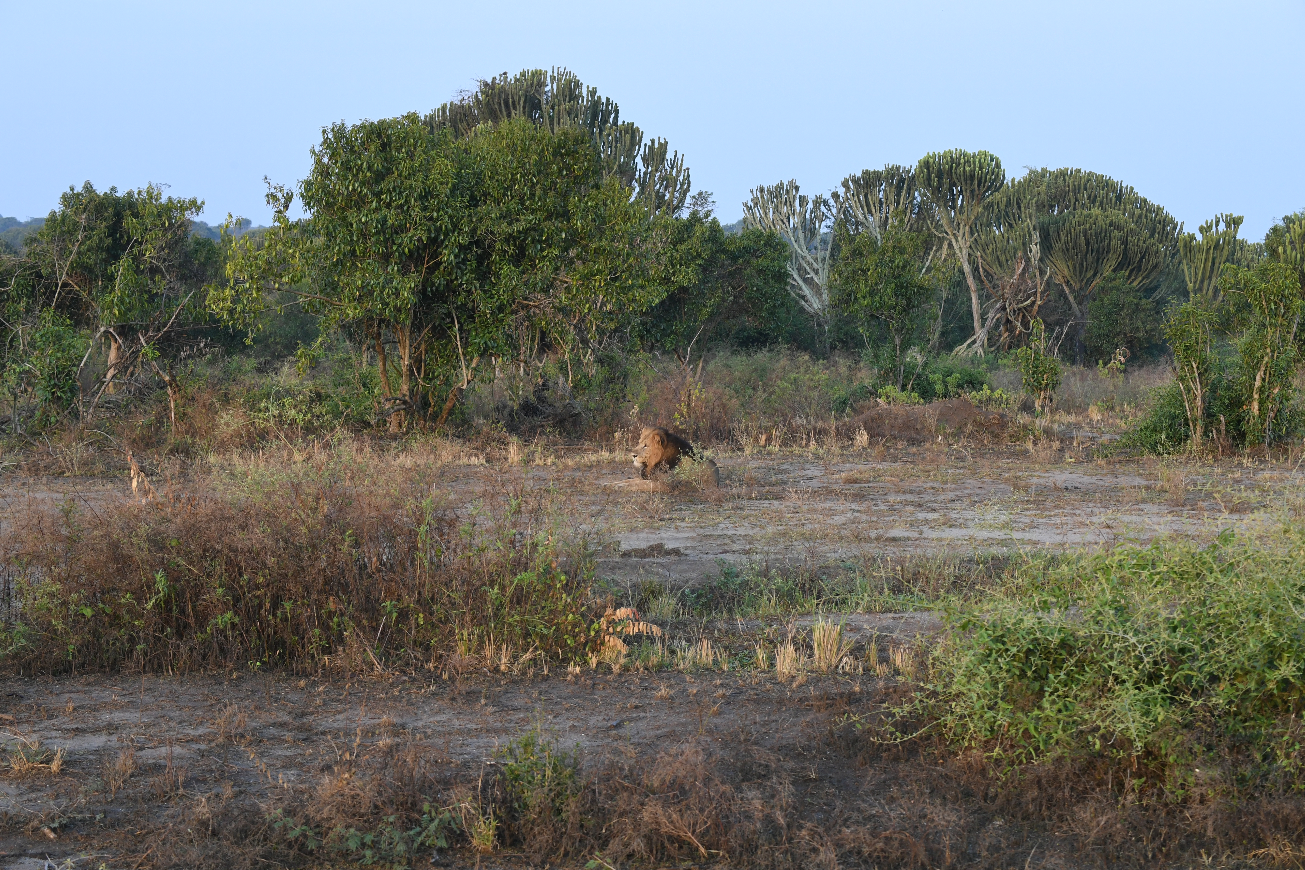 N&ouml;rdlich Kazinga Channel, Mweya, Queen Elizabeth National Park