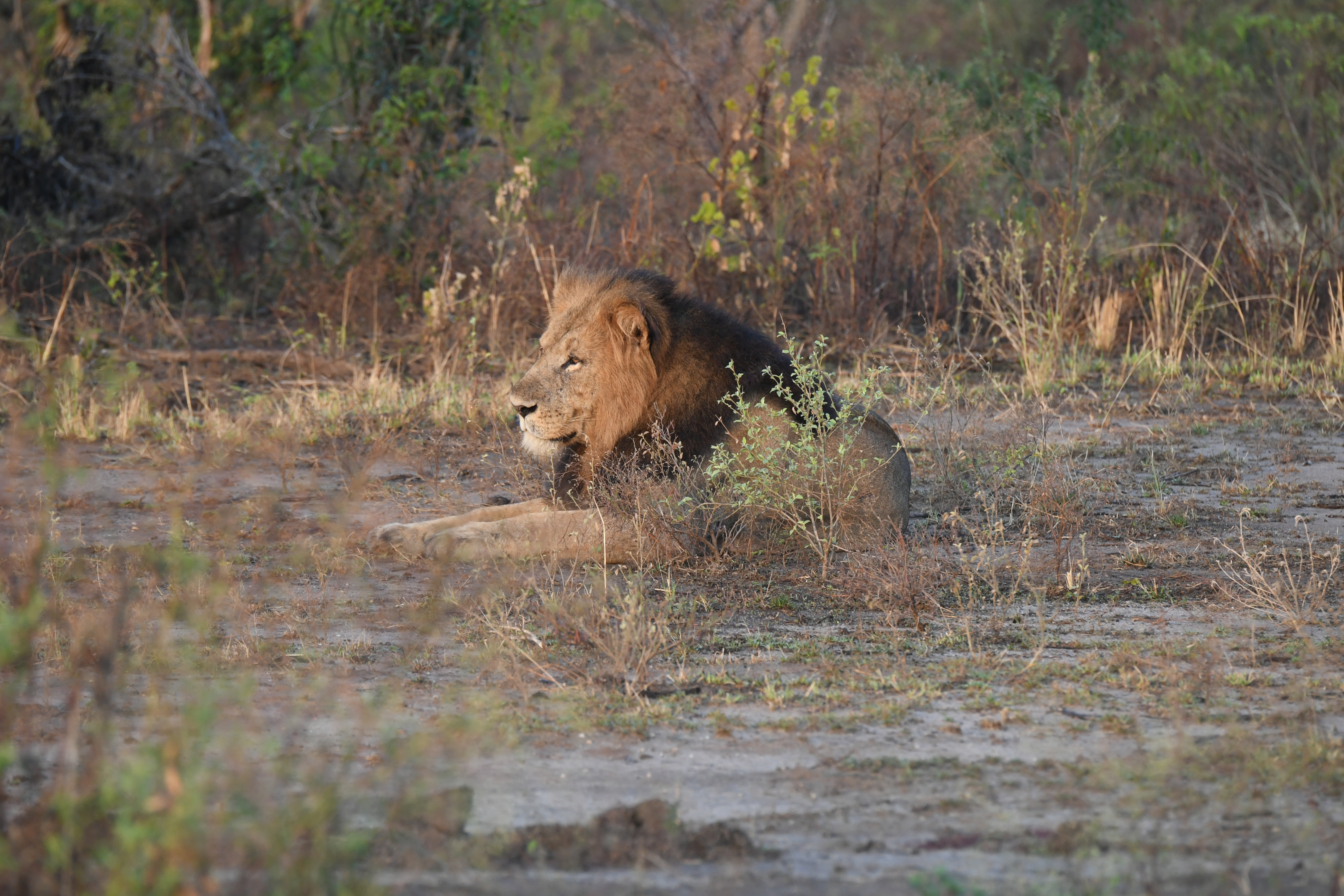N&ouml;rdlich Kazinga Channel, Mweya, Queen Elizabeth National Park