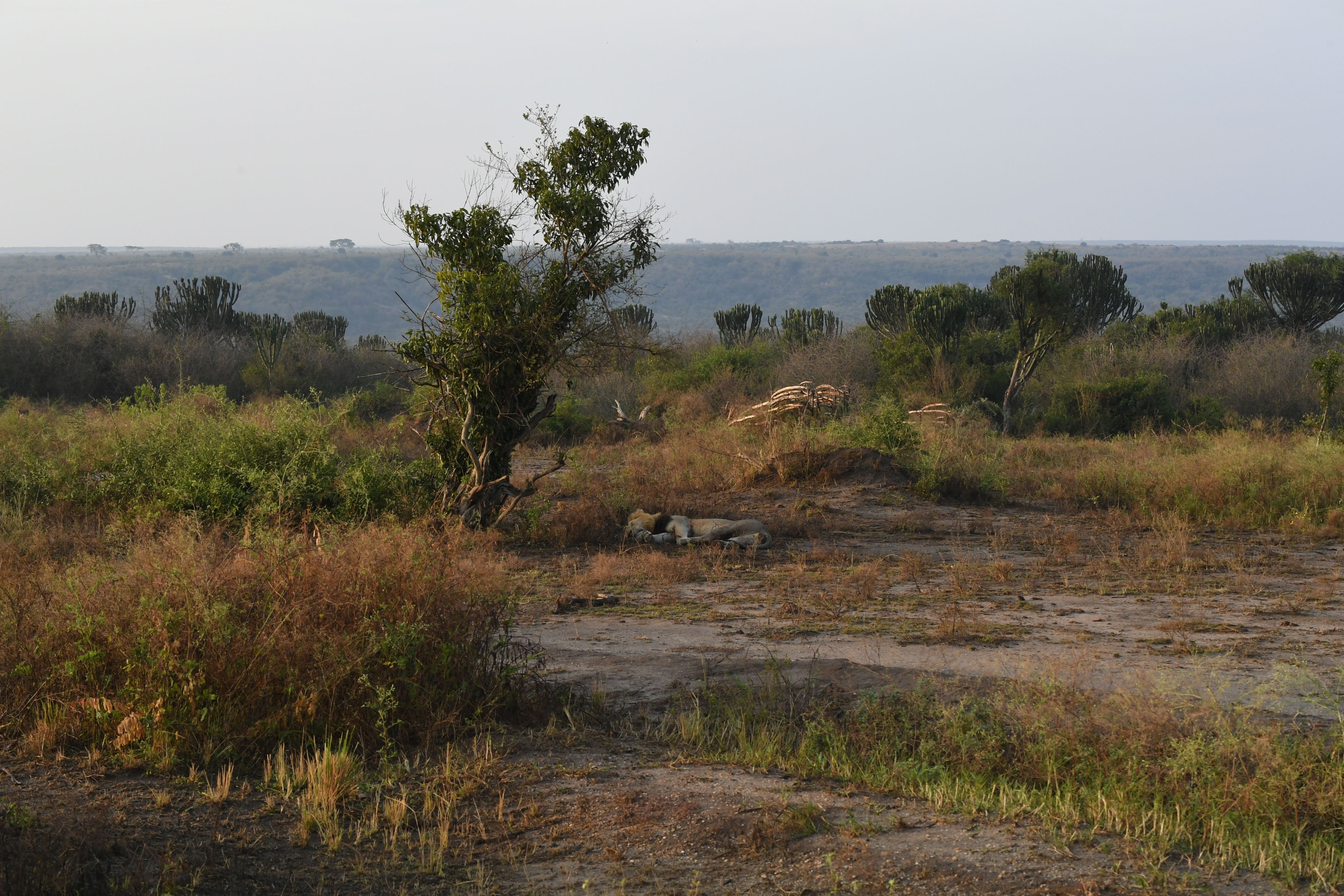N&ouml;rdlich Kazinga Channel, Mweya, Queen Elizabeth National Park