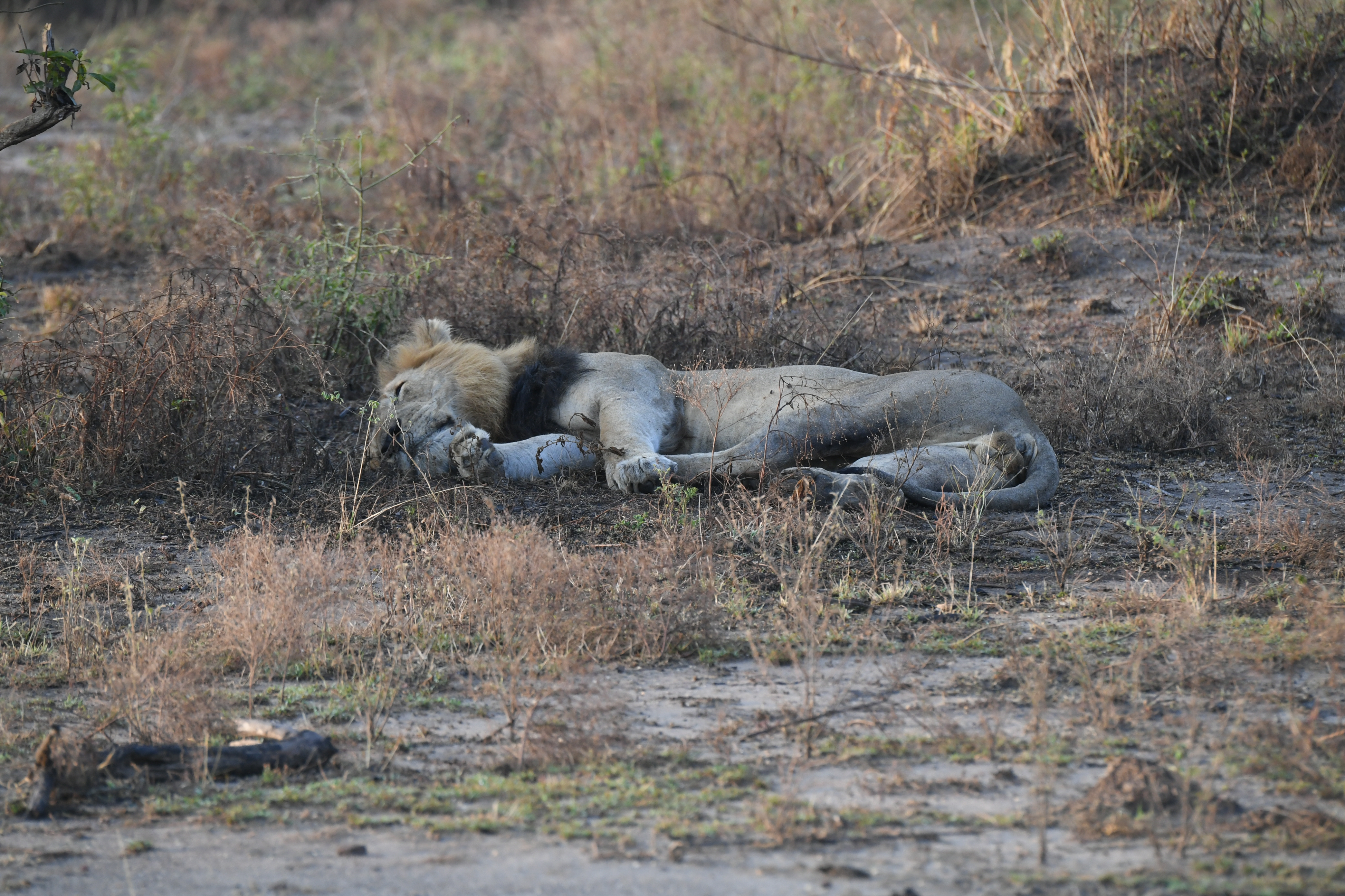 N&ouml;rdlich Kazinga Channel, Mweya, Queen Elizabeth National Park
