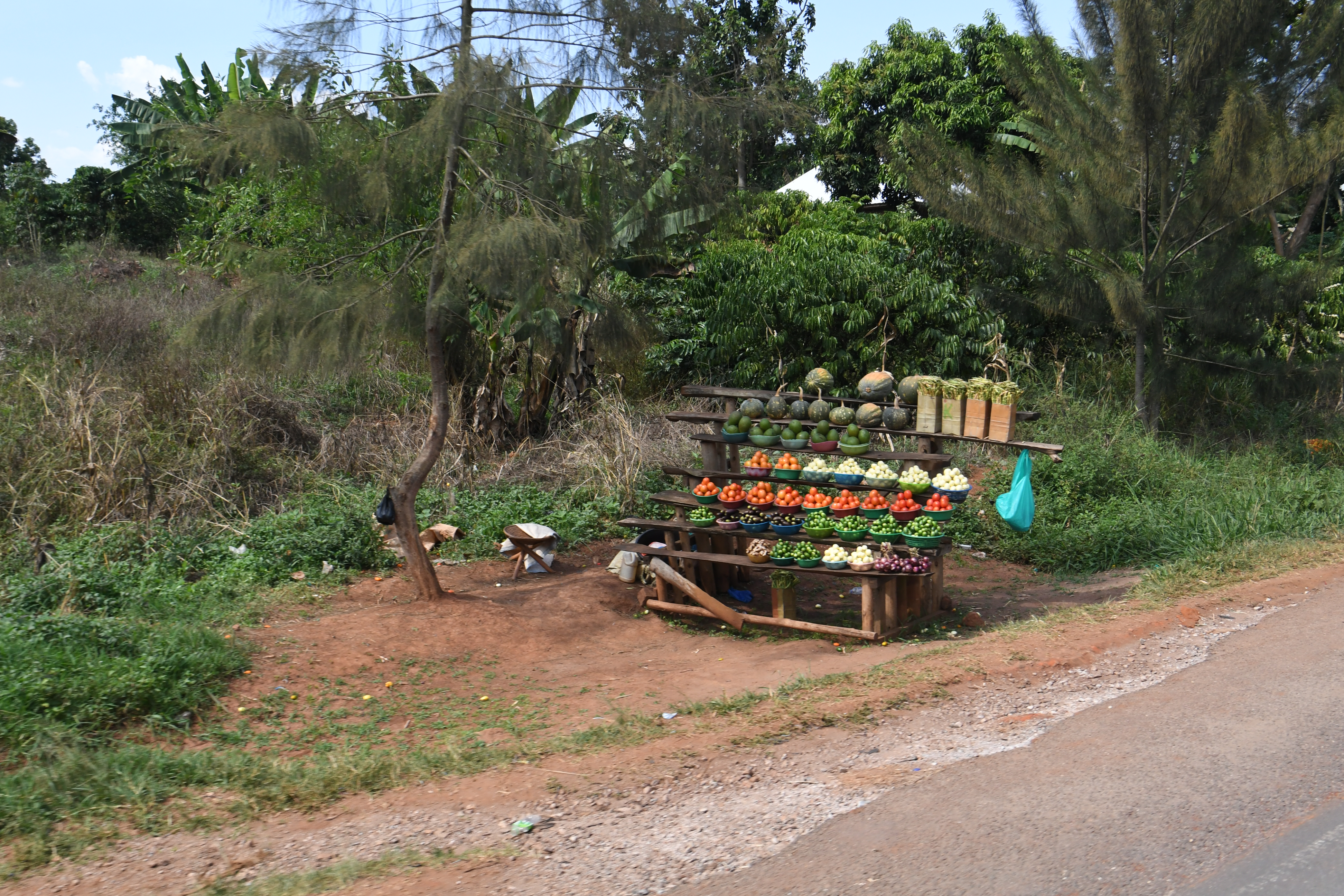 Fahrt Lake Bunyonyi - Mabamba Swamp