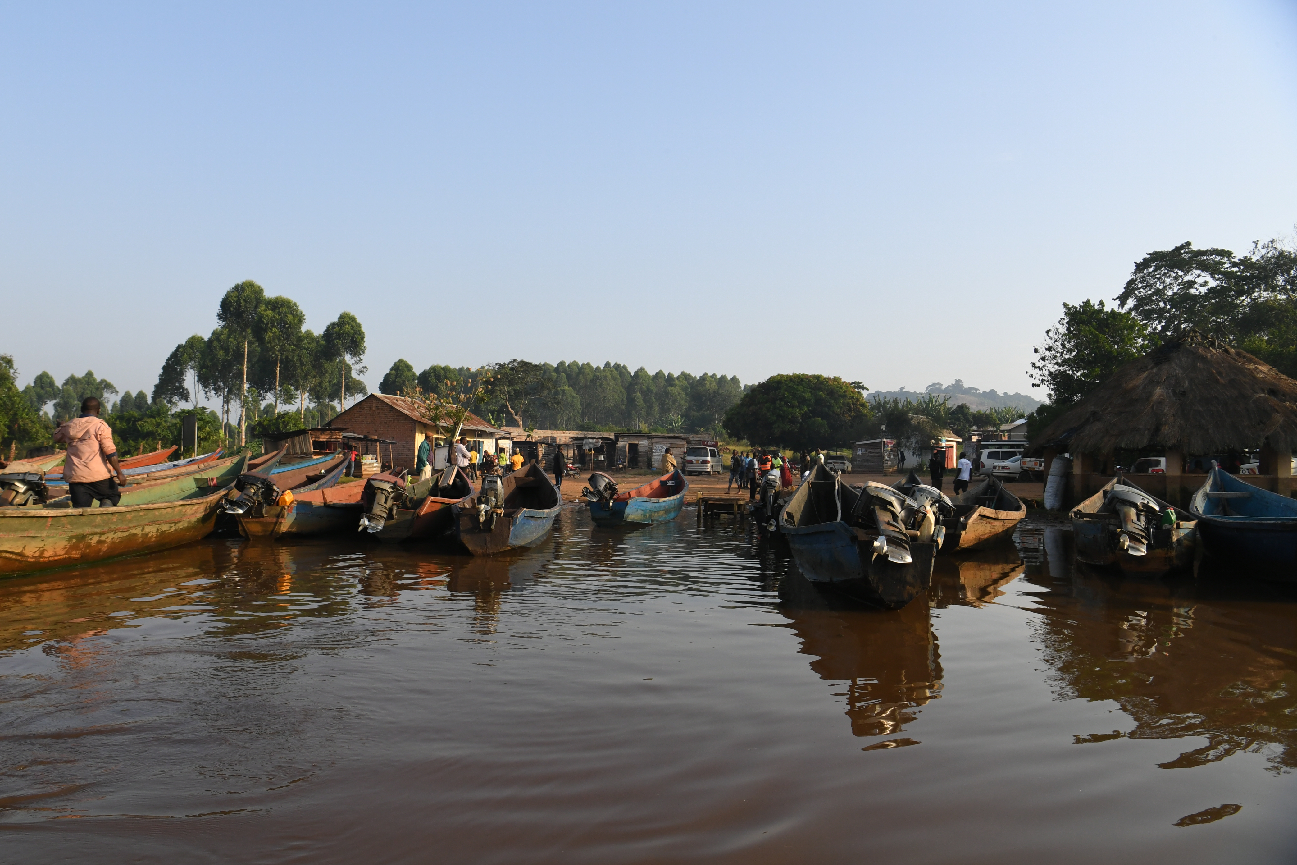 Mabamba Swamp