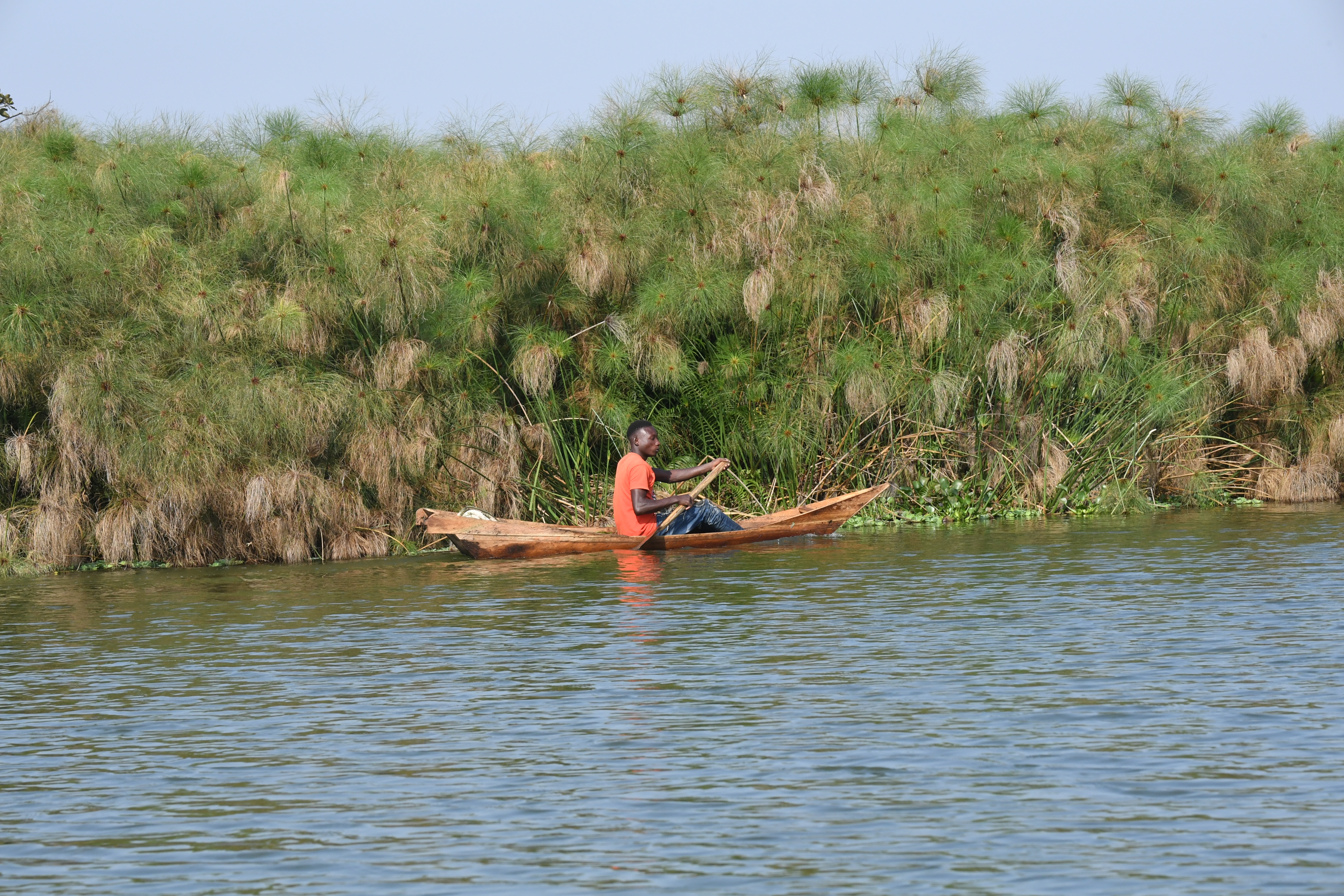 Mabamba Swamp