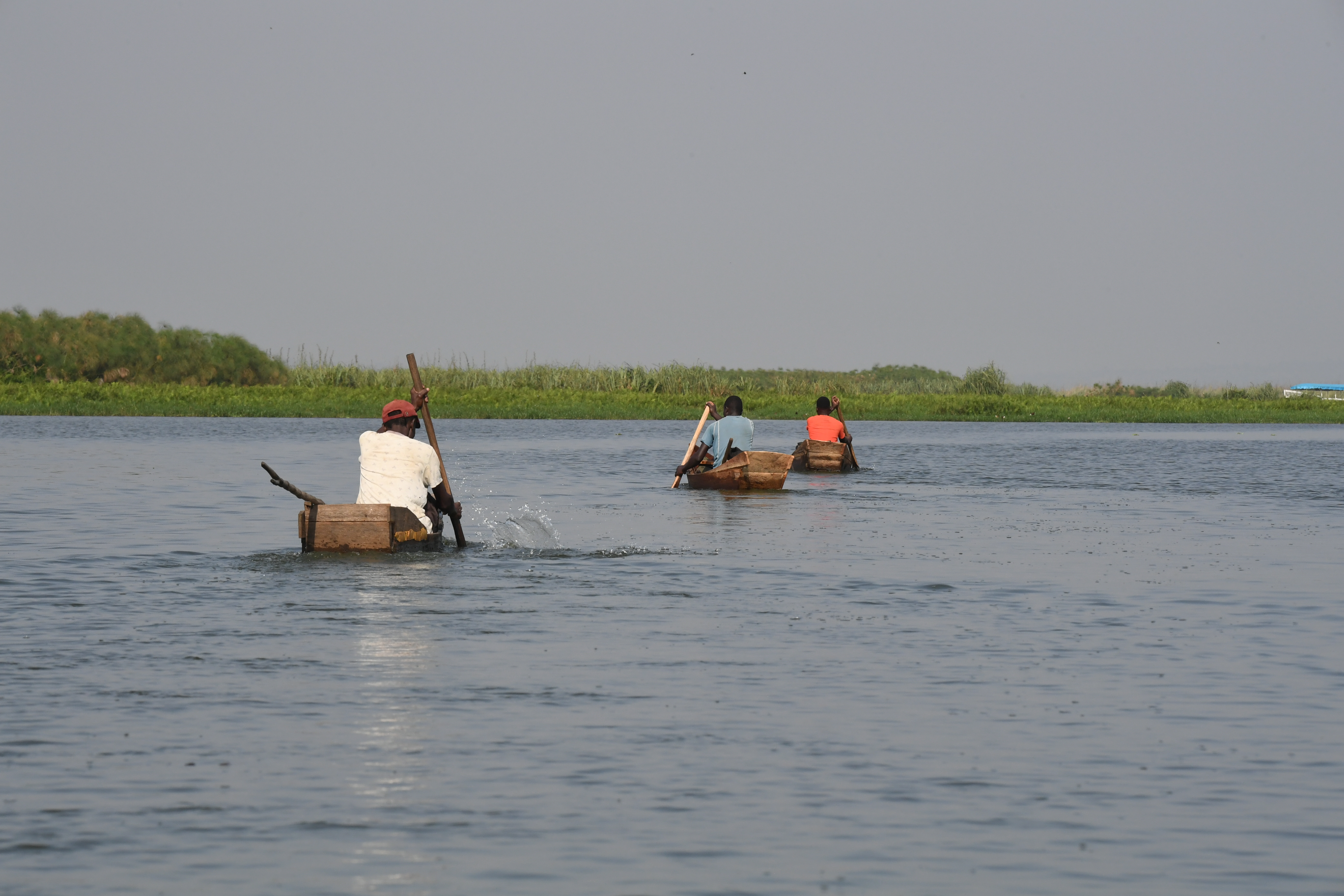 Mabamba Swamp