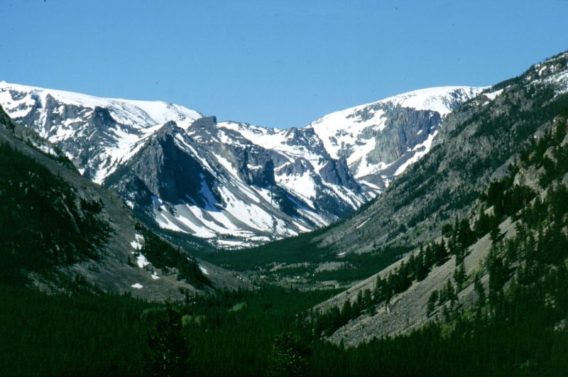 Hwy 212, Beartooth Path, Billings - Yellowstone N.P. 06/1999