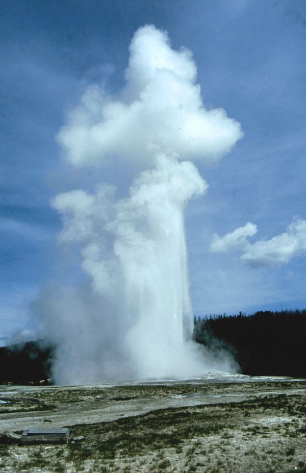 Yellowstone N.P. 06/1999