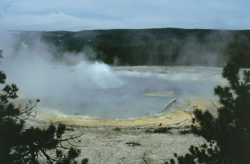 Yellowstone N.P. 06/1999