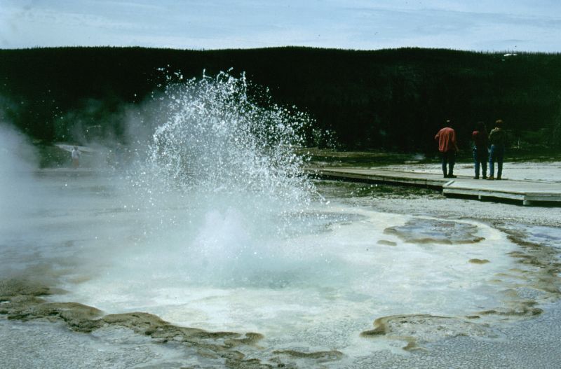 Yellowstone N.P. 06/1999