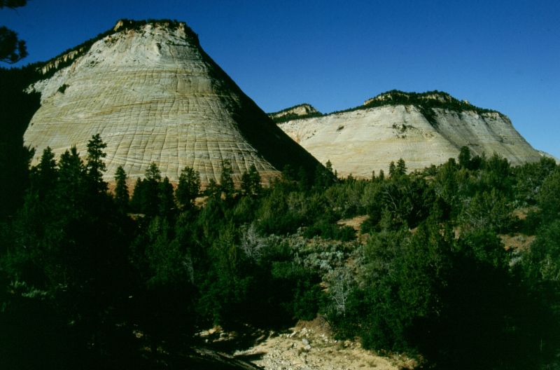 Zion N.P. 06/1999