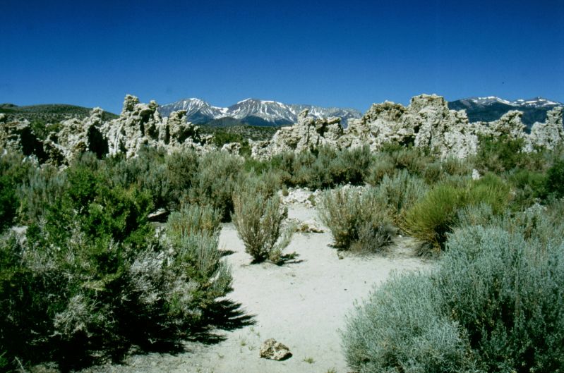Mono Lake 06/1999
